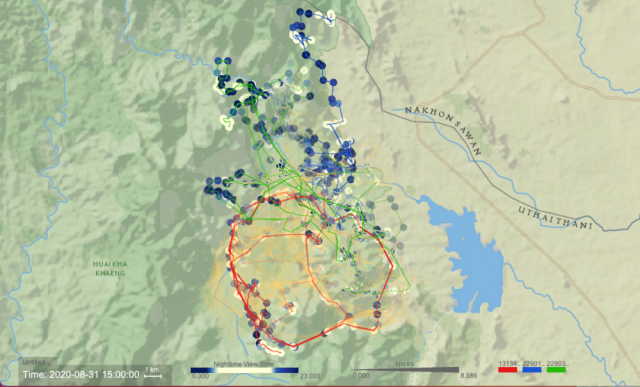 Dodge used her software, DynamoVis, to map the movements of a mother tiger (red) and her two male cubs (blue and green) around the Western Forest Complex in Thailand. The points show day (light yellow) and night (navy) locations. The orange shows the history of the movement paths over the last 6 months.