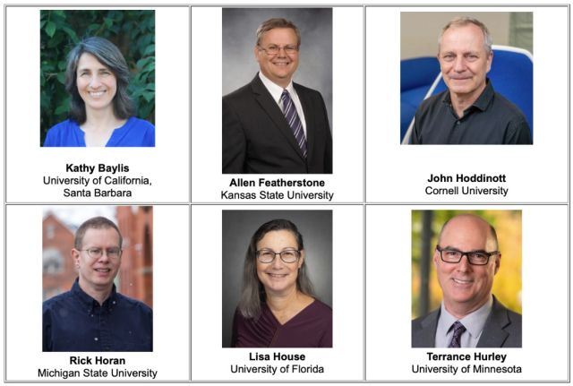 AAEA Fellows Class 2026