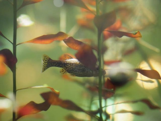 Credit: J Cruikshank / Unsplash