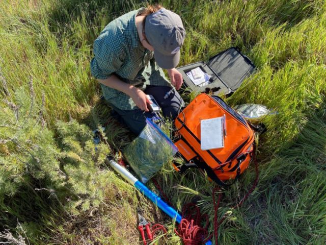 Plant biodiversity research
