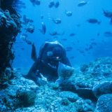 Ocean Science Research